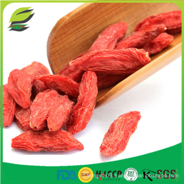 where to buy goji berry wolfberry